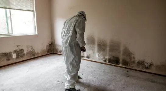 Drywall Repair After Plumbing Work by The Patch Guyz